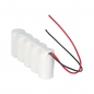 Preview: Notleuchten F51NICD2500