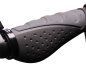 Preview: Segway Griffe