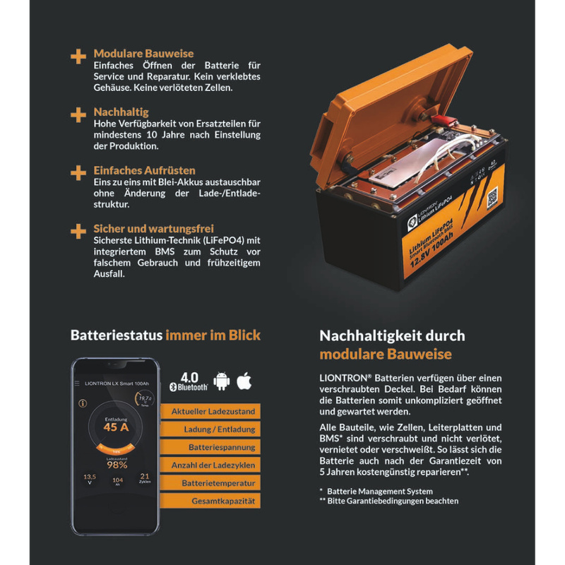 LIONTRON LiFePO4 12,8V 100Ah LX Smart BMS mit Bluetooth - JuliansCampingShop