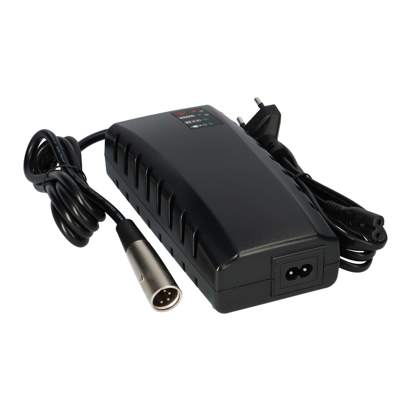 Caricabatterie Per Bici Elettrica 25.2V 2A - Per Batterie Li-Ion 24V 6S, Con Spine Multiple - Foto 3